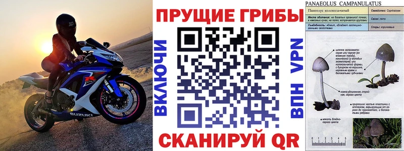 Галлюциногенные грибы MAGIC MUSHROOMS  площадка Telegram  Осинники 