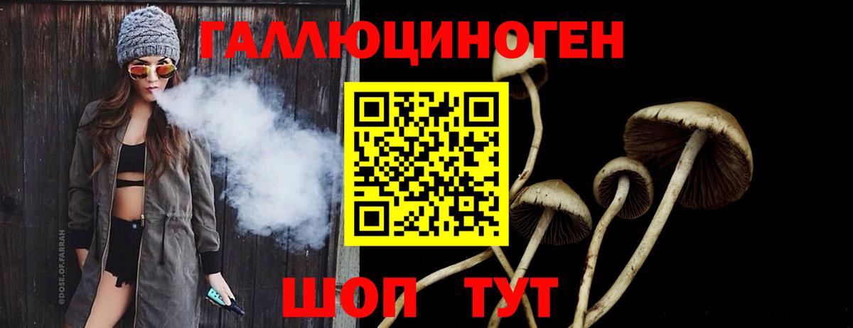Галлюциногенные грибы Psilocybe Осинники